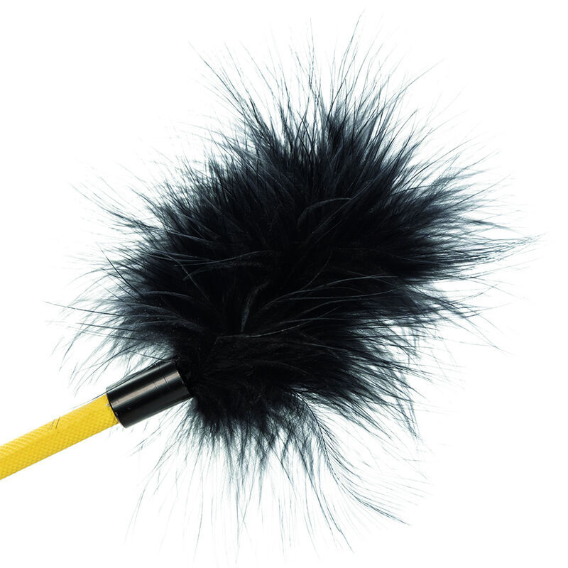 CALEXOTICS – BOUNDLESS RÉCOLTE DE PLUMES