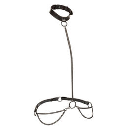 CALEXOTICS – EUPHORIA COLLIER ET LAISSE CHAINE