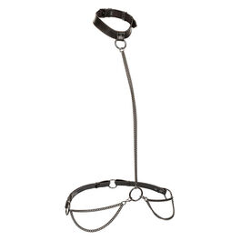 CALEXOTICS – EUPHORIA COLLIER LICOL ET LAISSE GRANDE TAILLE