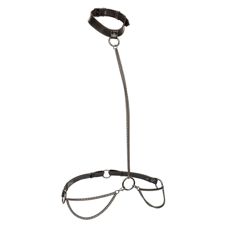 CALEXOTICS – EUPHORIA COLLIER LICOL ET LAISSE GRANDE TAILLE