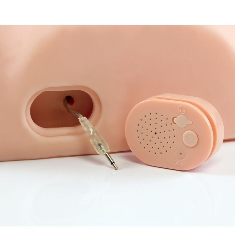 PDX MALE – INTERACTIF BAISEZ-LE SILLY