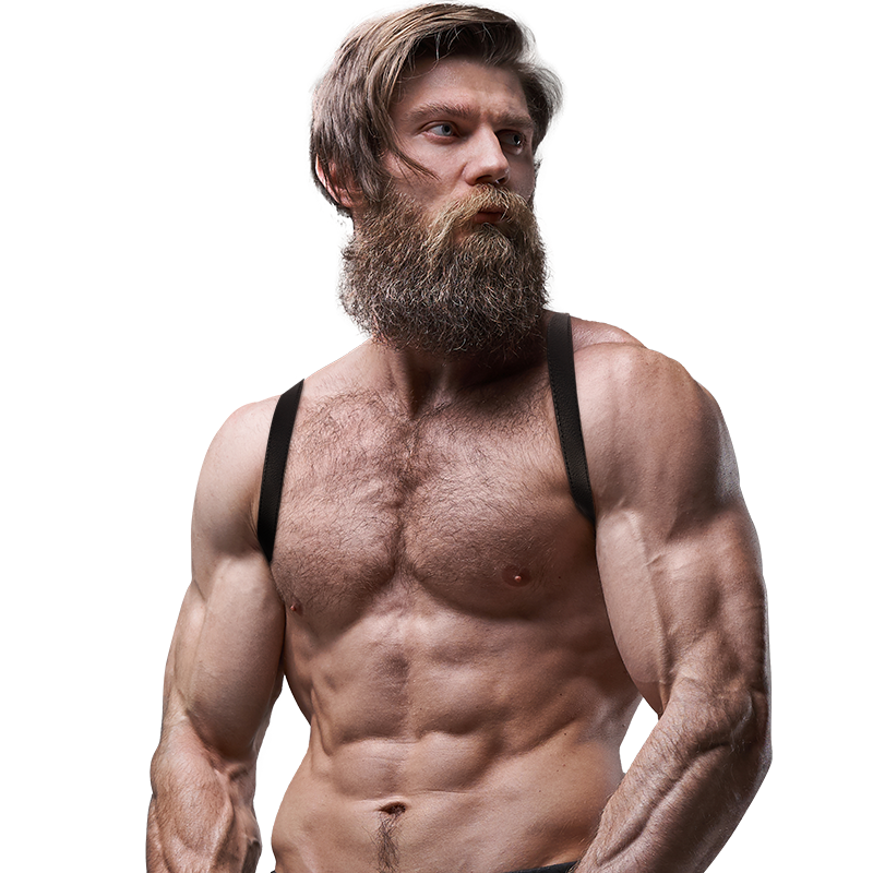 FETISH SUBMISSIVE ATTITUDE – HARNAIS DOS EN ÉCO-CUIR POUR HOMMES