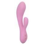 Calexotics - Contour zoie rose